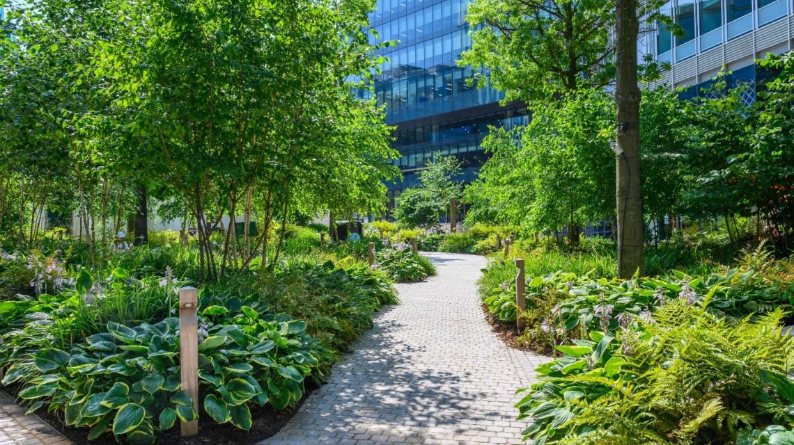 An image of gardens in Spinningfields